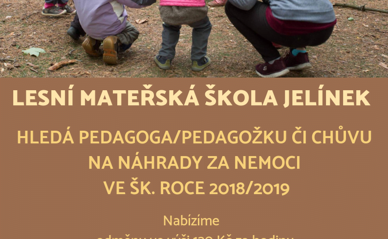 Hledáme pedagoga/pedagožku/chůvu na výpomoc Hledáme pedagoga/pedagožku/chůvu na výpomoc