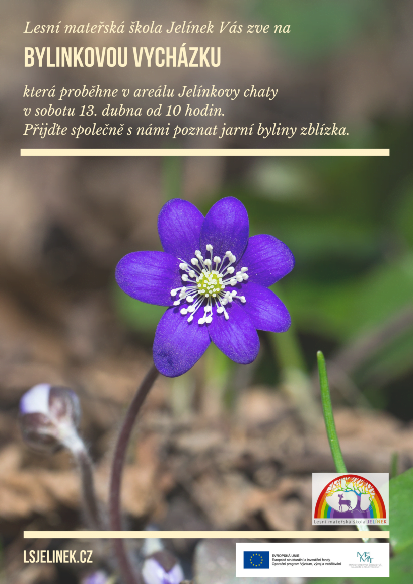 Bylinková vycházka 13. dubna 2019 Bylinková vycházka 13. dubna 2019
