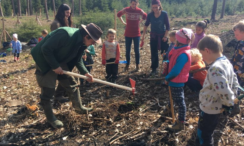 Lesní škola sadí lesní školu