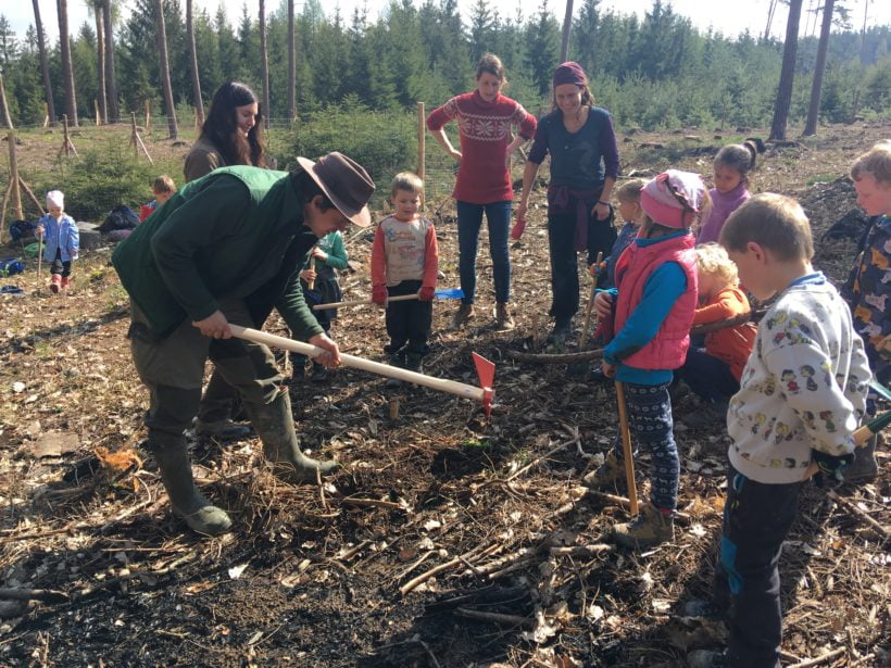 Lesní škola sadí lesní školu