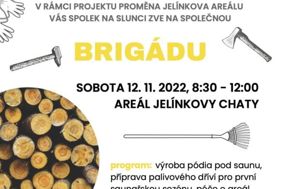 Brigáda pro SAUNU V LESE