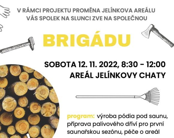 Brigáda pro SAUNU V LESE