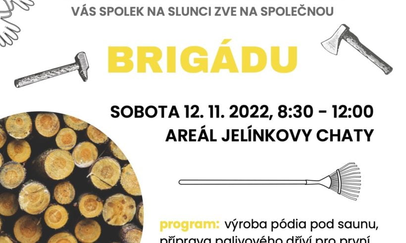 Brigáda pro SAUNU V LESE