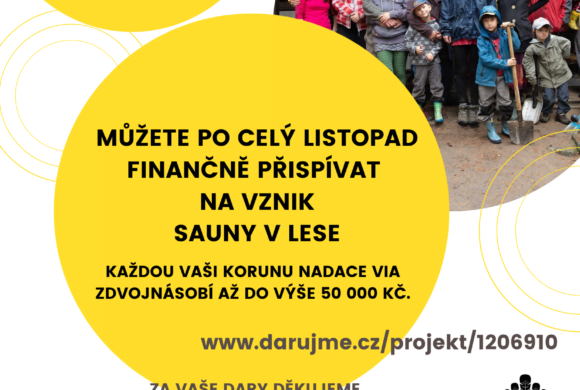 Finanční podpora SAUNY V LESE
