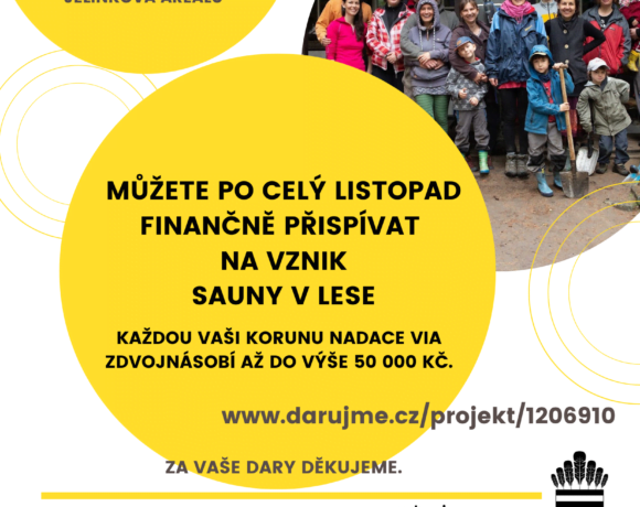 Finanční podpora SAUNY V LESE